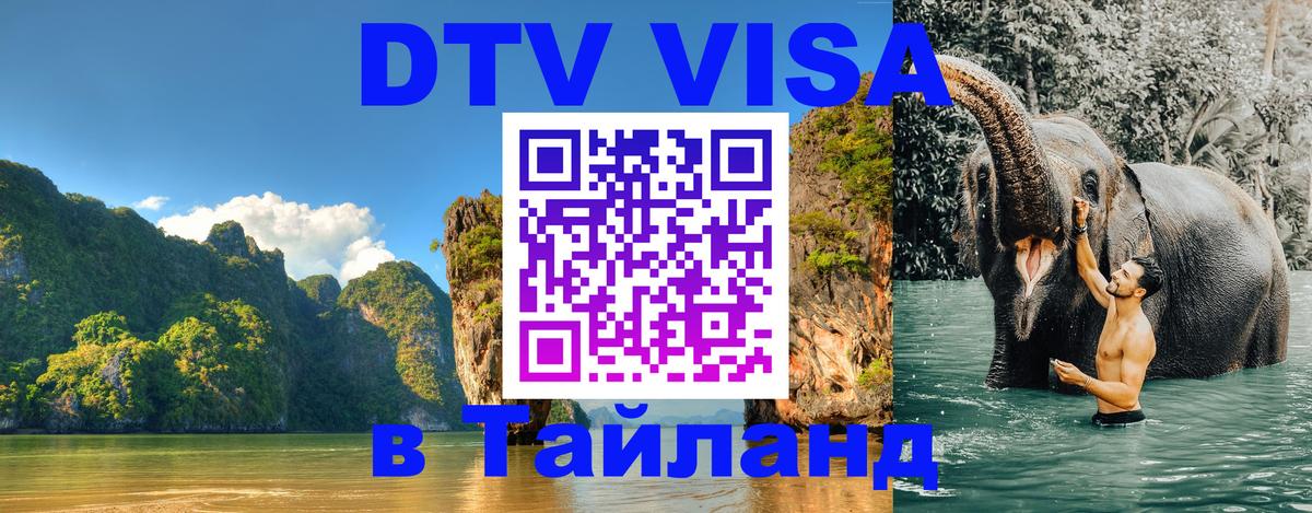 Сколько стоит DTV виза — актуальные цены, оформление даже без документов - Тхимпху 